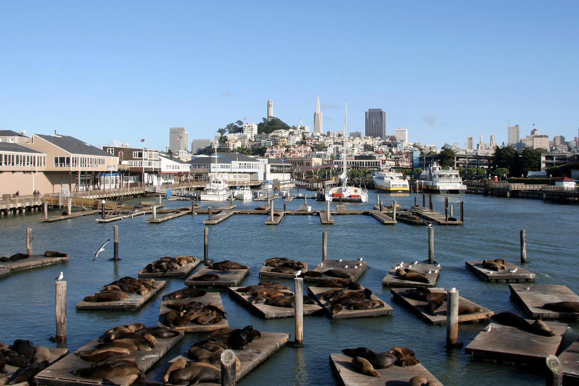 Hotel Zoe Fisherman'S Wharf San Francisco Luaran gambar
